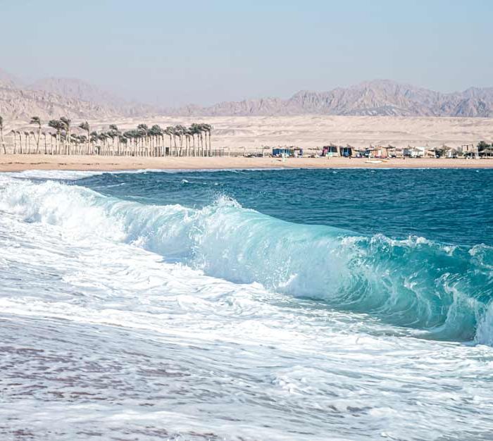 Classic Southern Kenya: safari & beach (Demo)