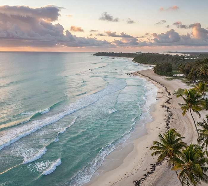 Exclusive Access & Unmatched Comfort (Demo)