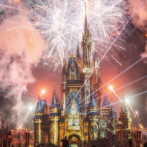 disney extravaganza