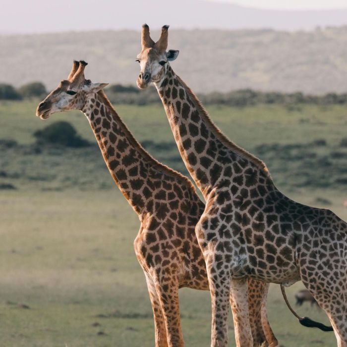 Ladies-Only Golden Triangle Tour